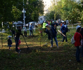 День городского округа 2018_21